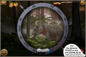 Flash  Deer hunter african safari  2