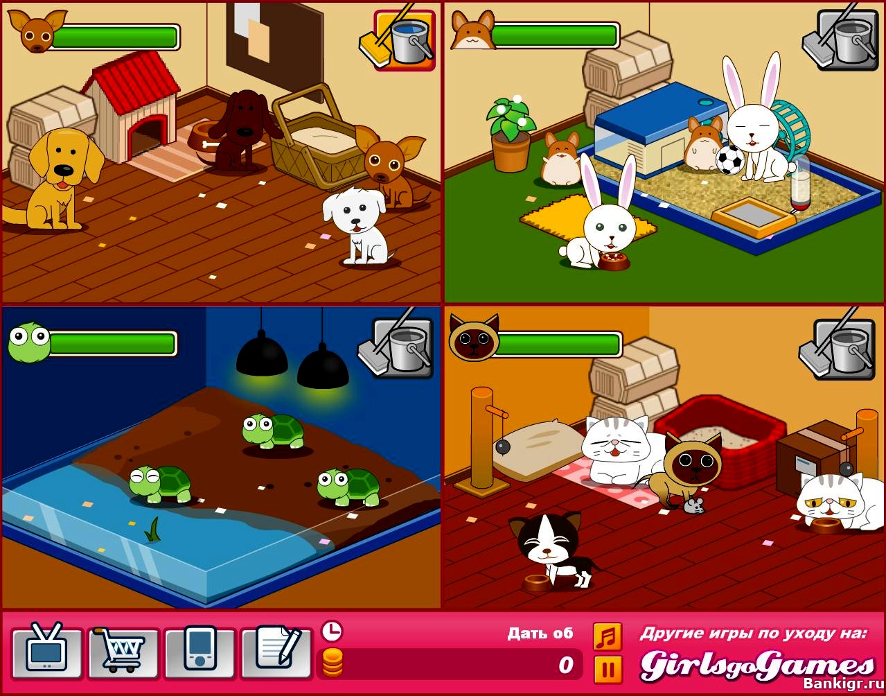 Игры за которыми надо ухаживать. Анимал шелтер игра. Игра приют для животных animal Shelter. Игра ухаживание за животными.