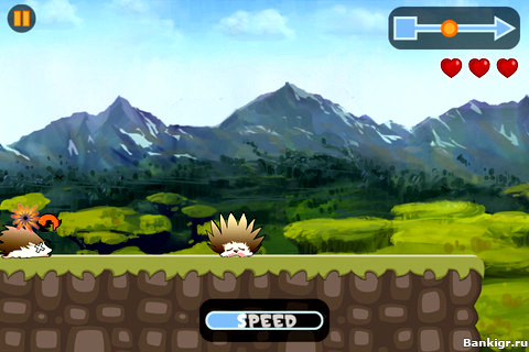 Flash  Run Fox Run  2