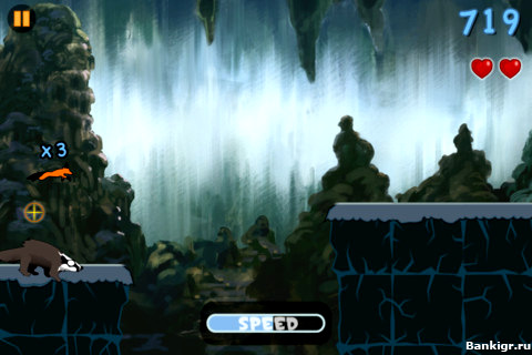 Flash  Run Fox Run  3
