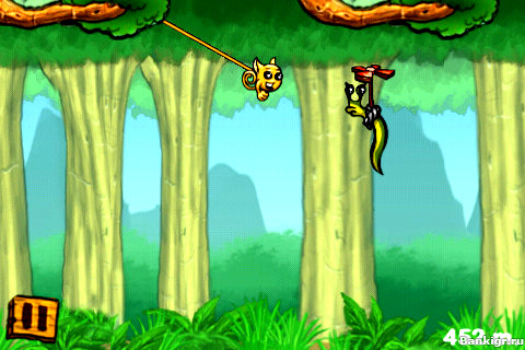 Flash  Swingaling  2
