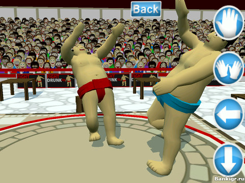 Flash  Fight Drunk 3D  3