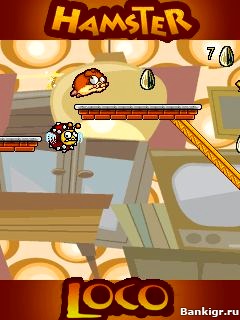 Игра хамстер комбо. Игра Hamster. Игра Hamster GAMP. Игра Hamster Mansion. Хамстер Локо.