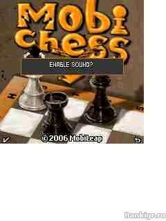 Flash ���� Mobi chess �������� 2