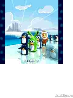 Flash ���� Penguin fever �������� 2