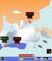 Flash  Worms 2007  3