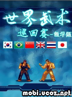 Flash  World Martial Arts Tournament  2