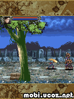 Flash  SPL - Dragon Tiger Flurry (RUS)  2