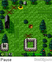 Flash  Allied Assault  2