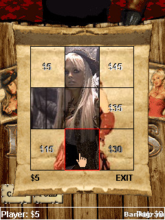 Flash     (Pirates poker)  4
