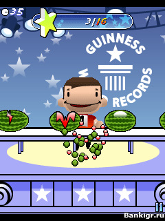 Flash      (Guinness World Record)  4