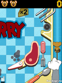Flash    :    (Tom and Jerry Pinball Pursuit)  2