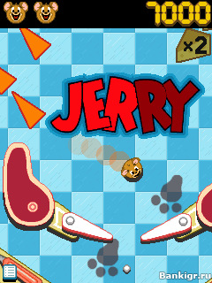 Flash    :    (Tom and Jerry Pinball Pursuit)  3