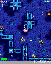 Flash     (Pink Bubble)  4