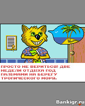Flash  Cat: Coral Beach  4