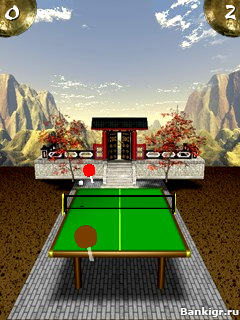 Flash     (Zen Table Tennis)  3