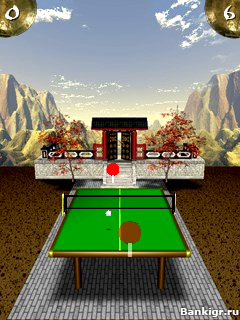 Flash     (Zen Table Tennis)  4