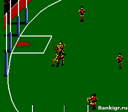 Flash  Aussie Rules Footy  2