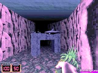 Flash    3D:   (Duke Nukem 3D NIB The Nightmare Edition)  3