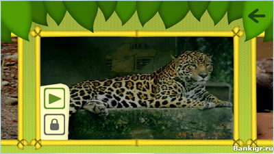 Flash ���� �����: �������� (Animals Puzzle) �������� 3